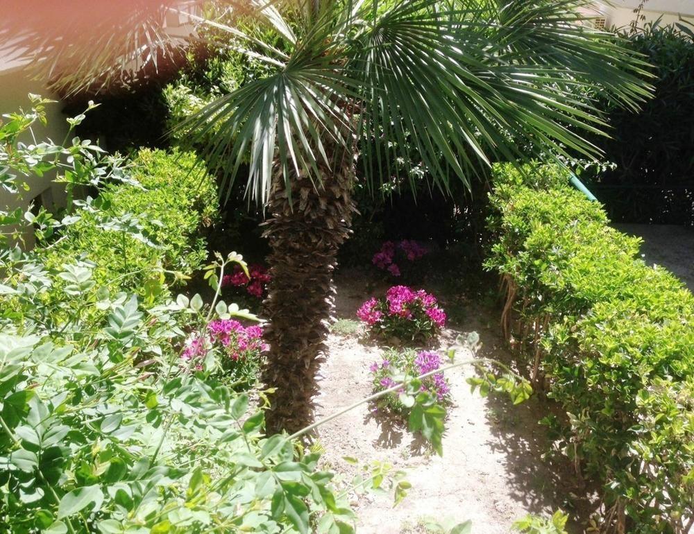 יאליסוס Anita Aparthotel מראה חיצוני תמונה